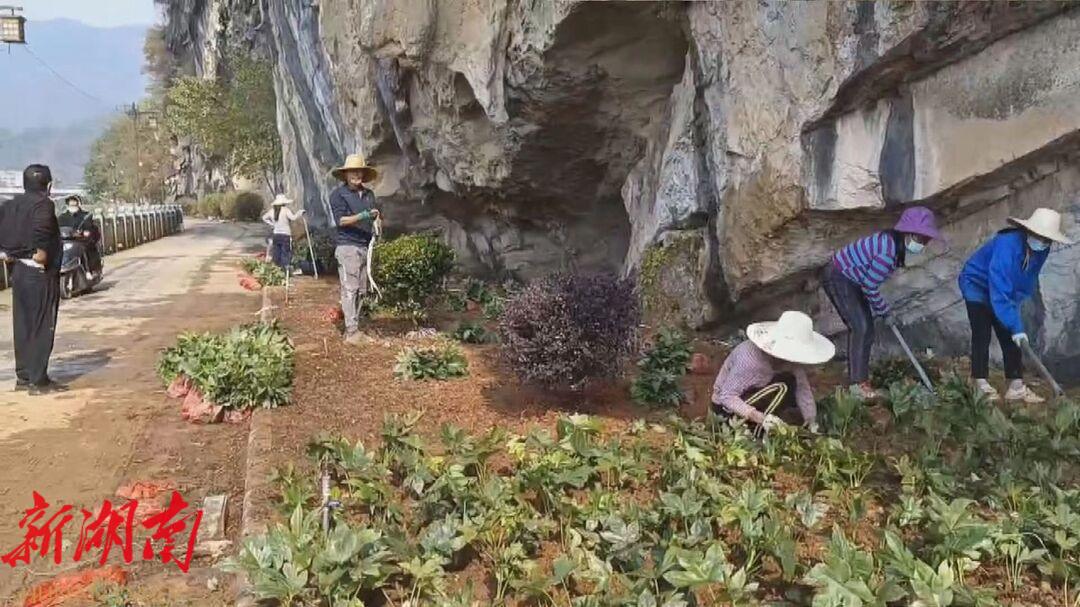 县园林绿化中心大力推进南湖公园绿化提质改造_邵阳头条网